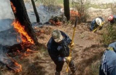Alertan por nueve incendios forestales  en Edomex (VIDEO)