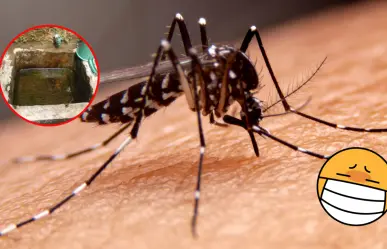 ¿Dengue en Piedras Negras? Dos pacientes bajo sospecha 