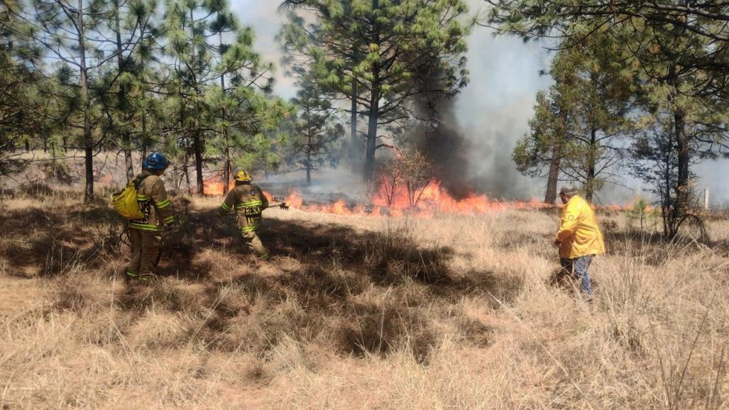 ¿Qué hacer en caso de hallarte en un incendio forestal?