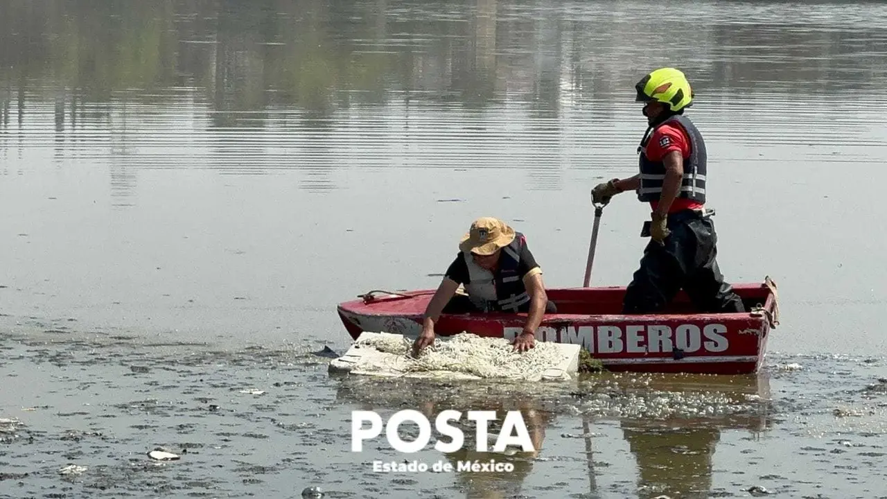 El objetivo es capturarlo cuando esté arriba y jalarlo hasta la orilla. Imagen: POSTA