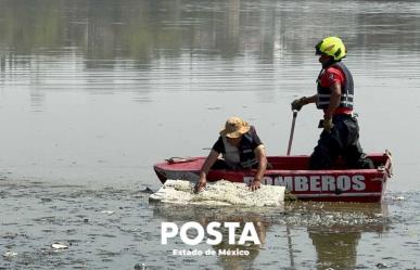 Intentan capturar cocodrilo en laguna de Cuautitlán Izcalli (VIDEO)