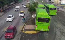 Difunden choque de camión urbano contra palmera en Juárez (VIDEO)