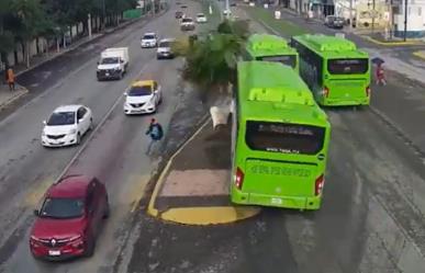 Difunden choque de camión urbano contra palmera en Juárez (VIDEO)