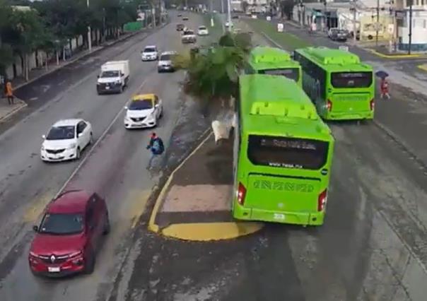 Difunden choque de camión urbano contra palmera en Juárez (VIDEO)