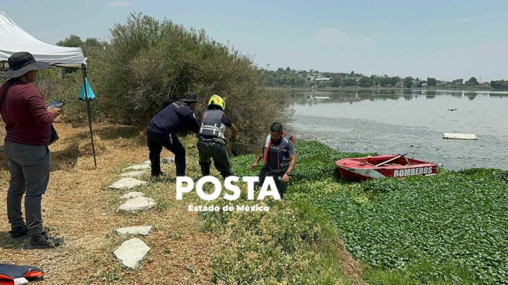 No encuentran al cocodrilo, suspenden búsqueda en Cuautitlán Izcalli (VIDEO)