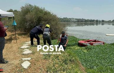 No encuentran al cocodrilo, suspenden búsqueda en Cuautitlán Izcalli (VIDEO)