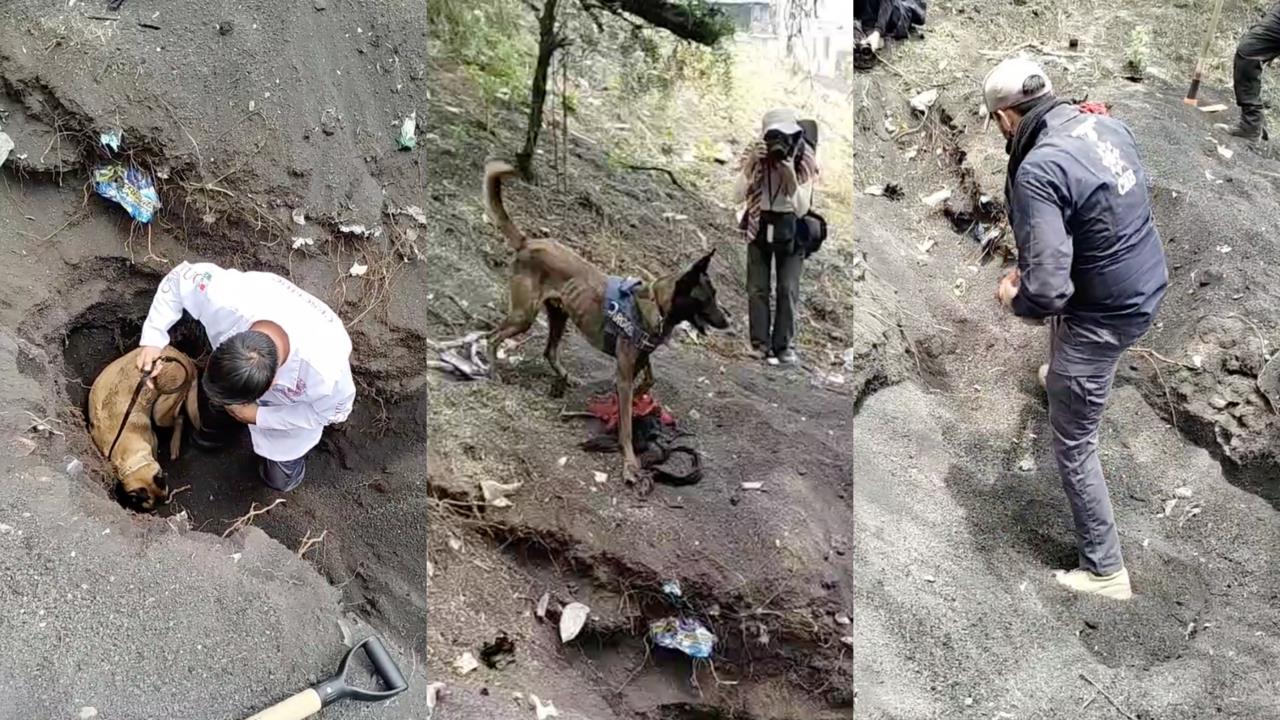 Comisión Nacional de Búsqueda (CNB). Foto: SSC de Madres Buscadoras De Sonora