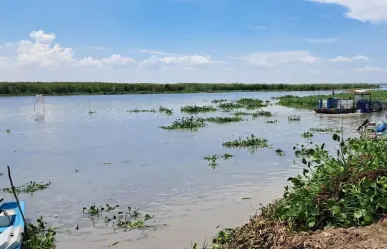 Filtración de agua salada al sistema lagunario será inevitable