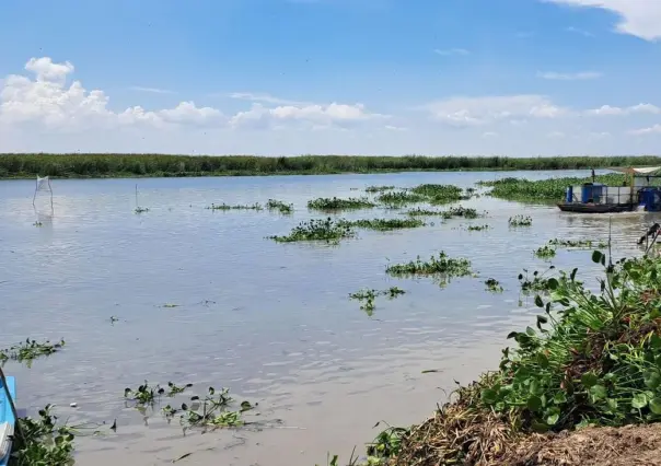 Filtración de agua salada al sistema lagunario será inevitable