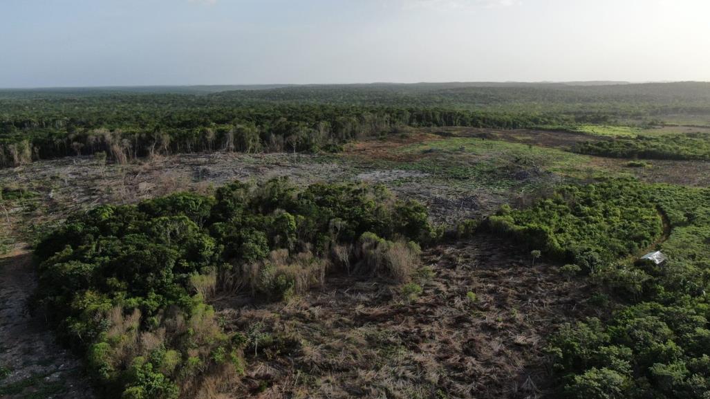 Incendios forestales en Yucatán han arrasado más de 71 mil hectáreas al año