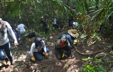 Encuentran cinco fosas clandestinas en Veracruz