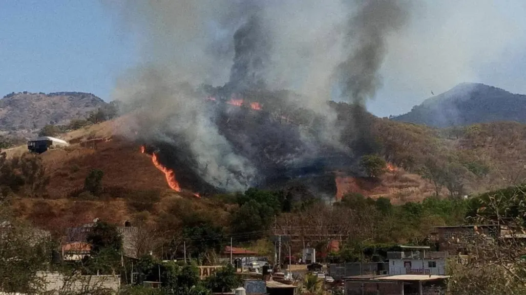 Combaten siete incendios forestales en Edomex