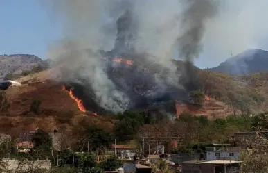 Combaten siete incendios forestales en Edomex