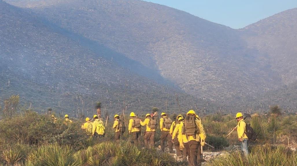 Combaten incendio forestal en Doctor Arroyo, Nuevo León