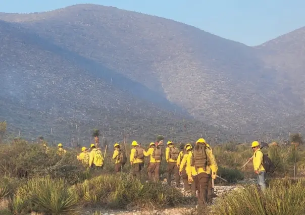 Combaten incendio forestal en Doctor Arroyo, Nuevo León