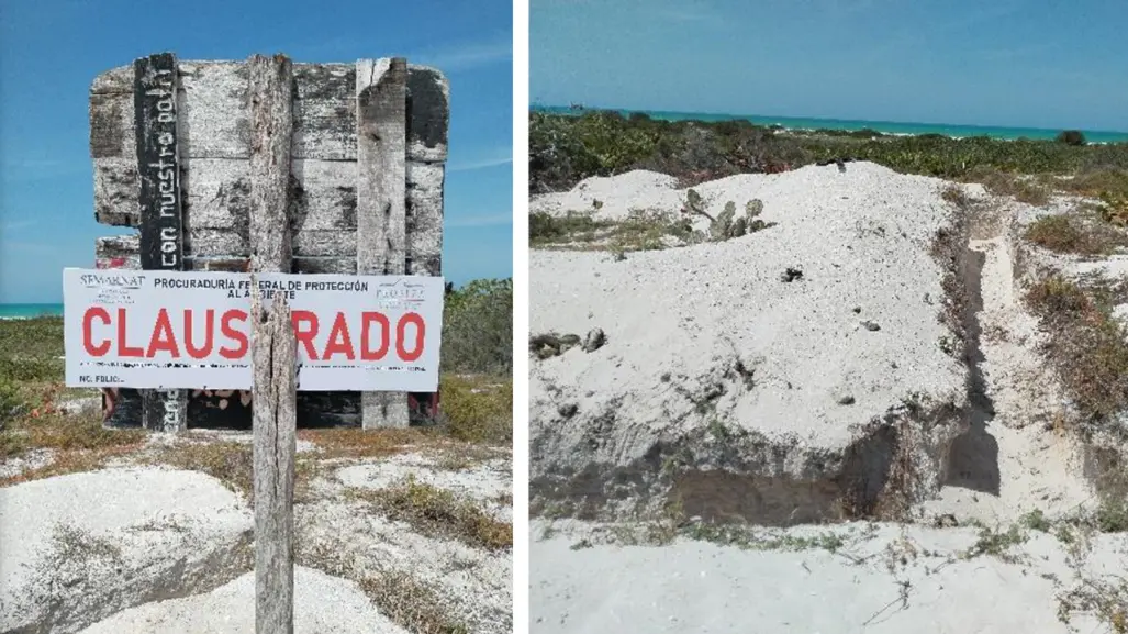 Profepa clausura obras Ilegales en Reserva de la Biósfera Ría Lagartos