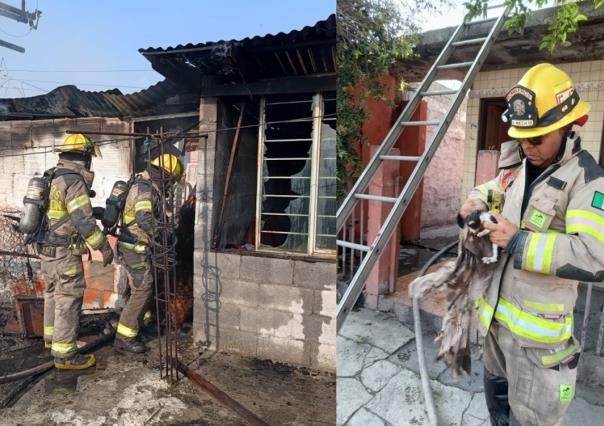 Arde vivienda en la colonia Nueva Morelos de Monterrey; rescatan a gatito