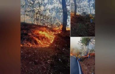 Se quema Tejupilco, fuego y humo provocan cierre de carretera a Toluca (VIDEO)