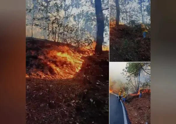 Se quema Tejupilco, fuego y humo provocan cierre de carretera a Toluca (VIDEO)