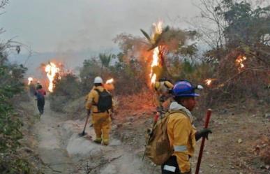 Incendios forestales en Guerrero dejan tres brigadistas lesionados