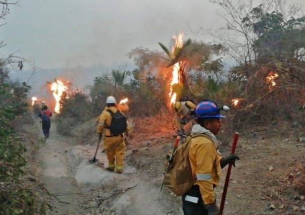 Incendios forestales en Guerrero dejan tres brigadistas lesionados