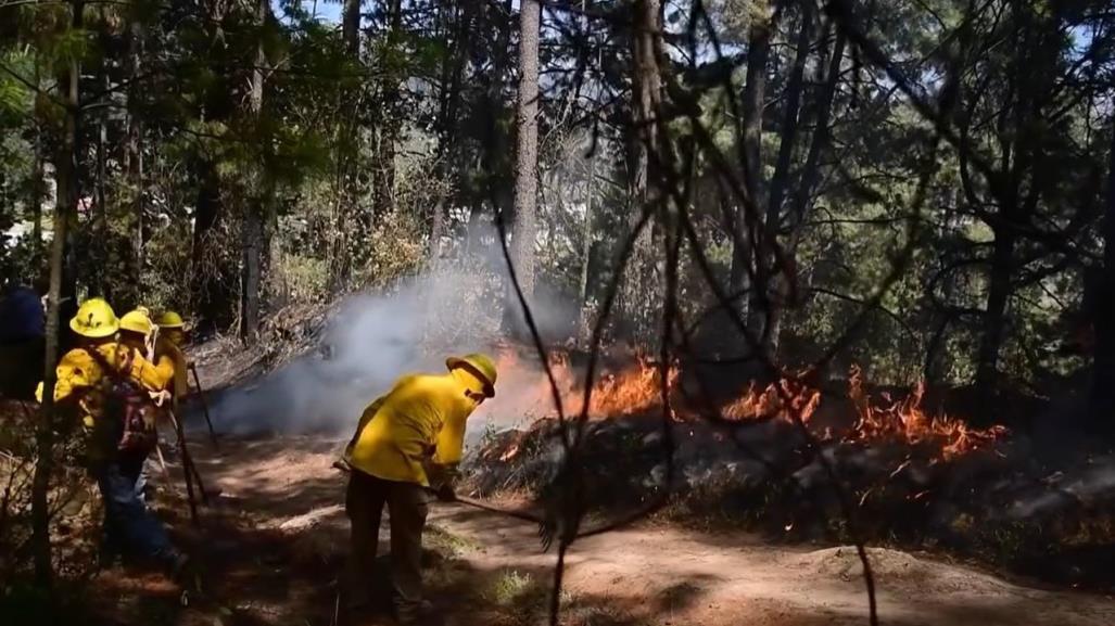 Aumentan los incendios forestales activos en Edomex