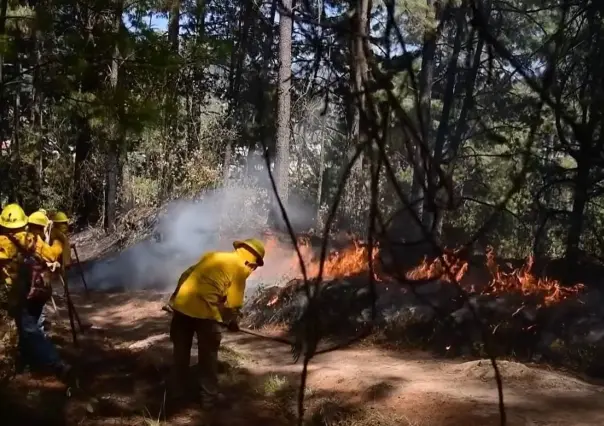 Aumentan los incendios forestales activos en Edomex