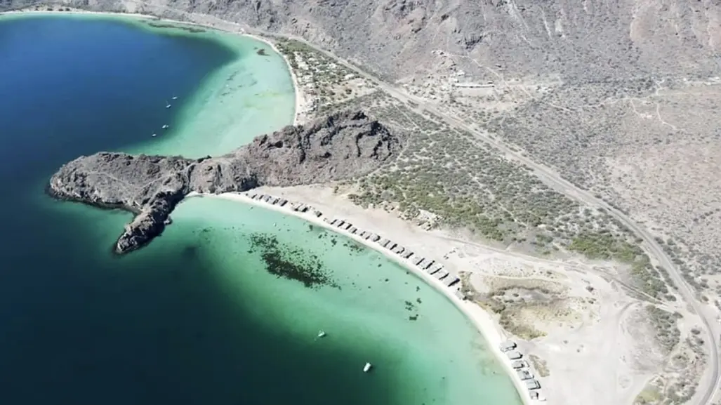 Visita la imponente Ballena Pelechada varada entre dos playas de BCS