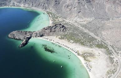 Visita la imponente Ballena Pelechada varada entre dos playas de BCS