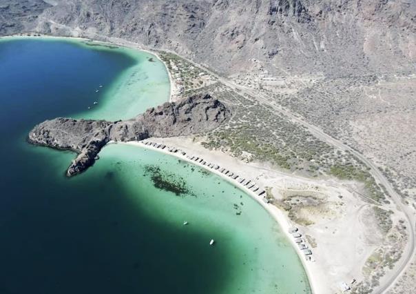 Visita la imponente Ballena Pelechada varada entre dos playas de BCS