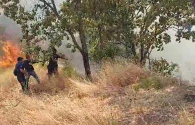 Control al 80 % en incendios forestales en Tejupilco y Luvianos: Probosque