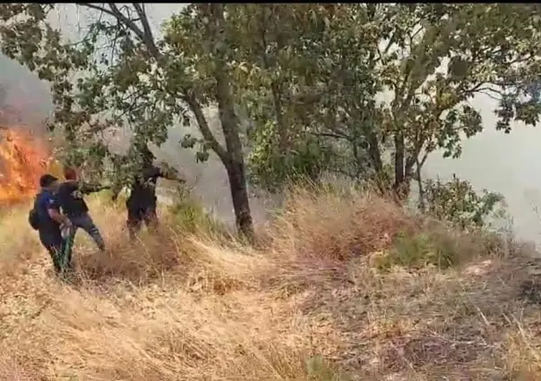 Control al 80 % en incendios forestales en Tejupilco y Luvianos: Probosque