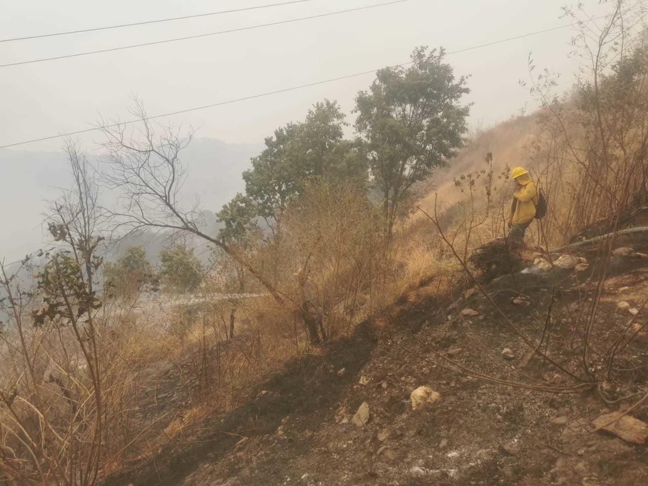 Control al 80 % en incendios forestales en Tejupilco y Luvianos: Probosque