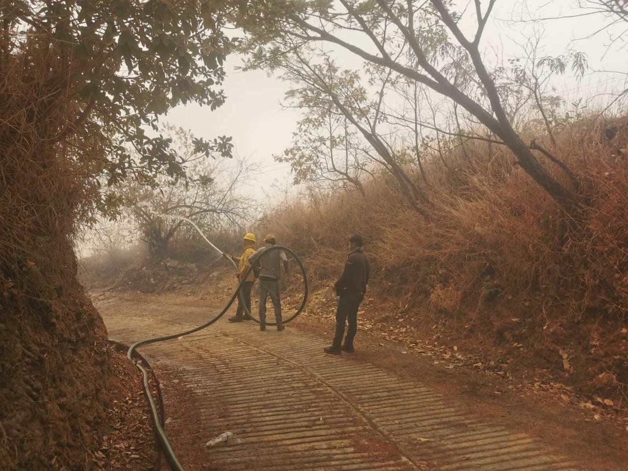 Control al 80 % en incendios forestales en Tejupilco y Luvianos: Probosque