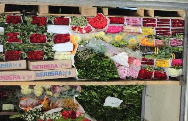 Listas las flores en Edomex para el Día de las madres