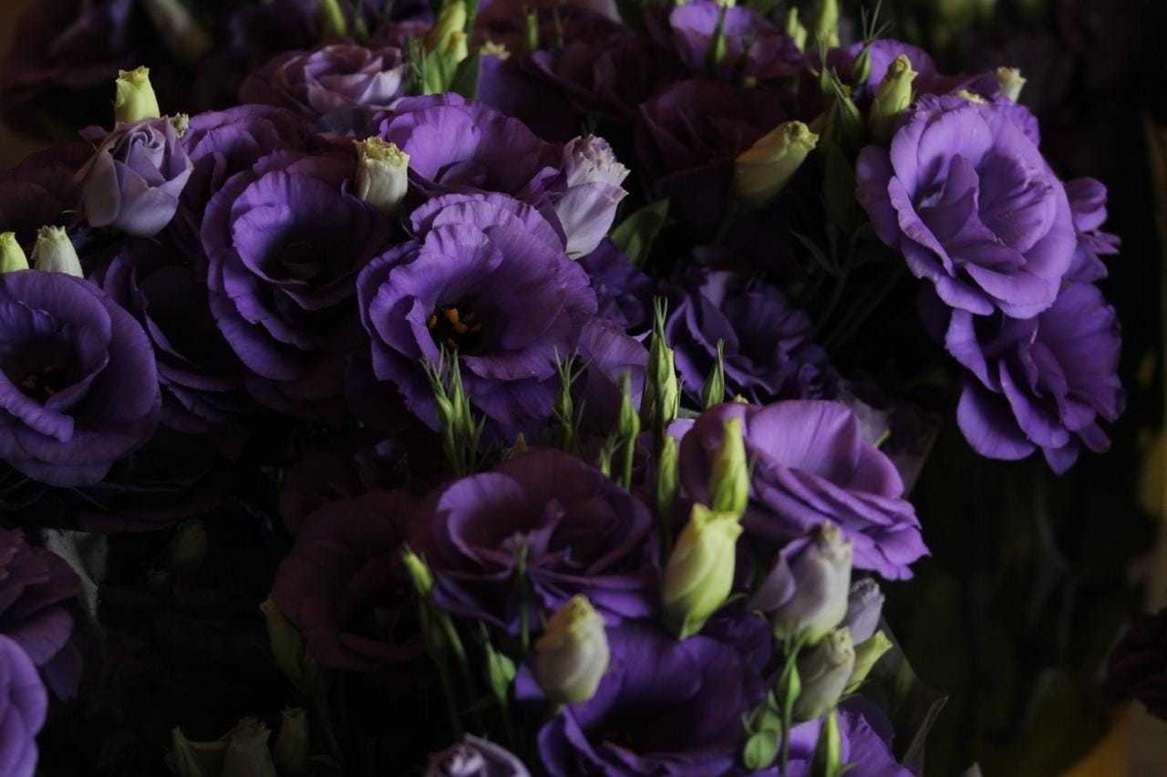 Listas las flores en Edomex para el Día de las madres