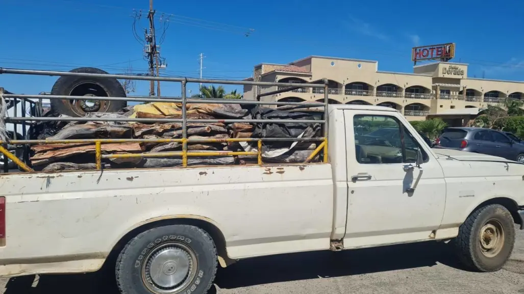 Presunto delito ambiental: policía detiene camioneta con madera Ilegal