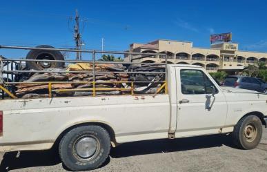 Presunto delito ambiental: policía detiene camioneta con madera Ilegal