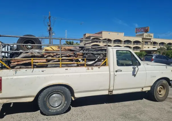 Presunto delito ambiental: policía detiene camioneta con madera Ilegal