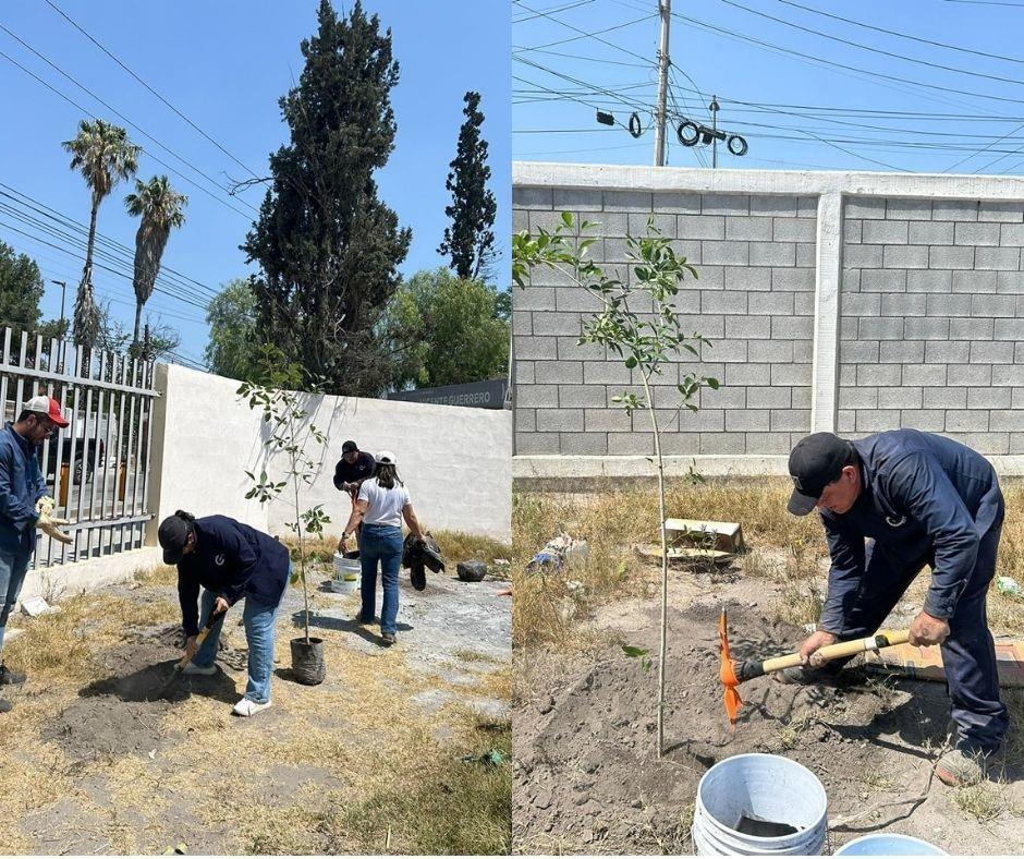 Buscan voluntarios para reforestar. Fotos de Saltillo Ecológico.