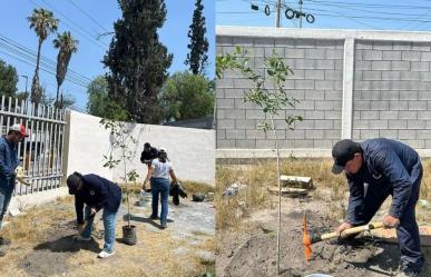 ¡Buscan voluntarios para reforestación! Aquí te contamos más