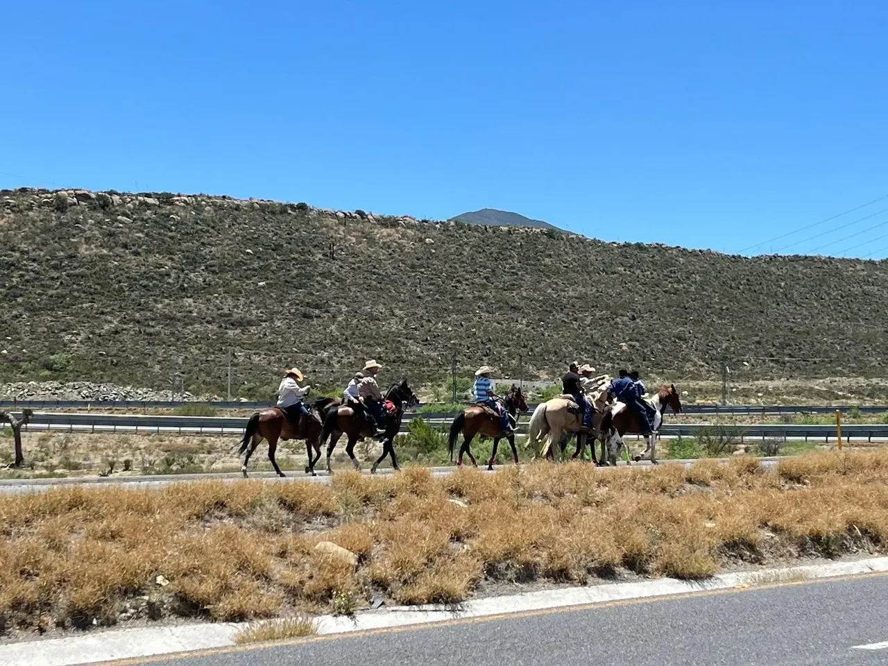 Hacen cabalgata en honor de San Charbel. Foto de Marco Juárez.