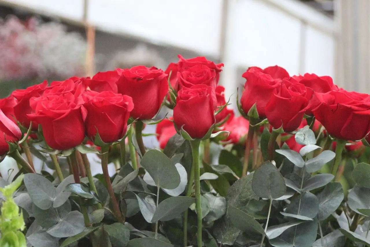 En la entidad mexiquense existe una gran producción de flores anualmente. Imagen: GEM