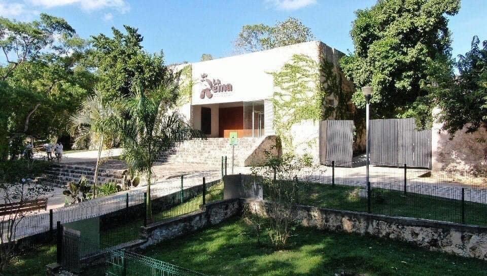 Autoridades de Tizimín informaron sobre la muerte de un león en las instalaciones del zoológico “La Reina”.- Foto de redes sociales