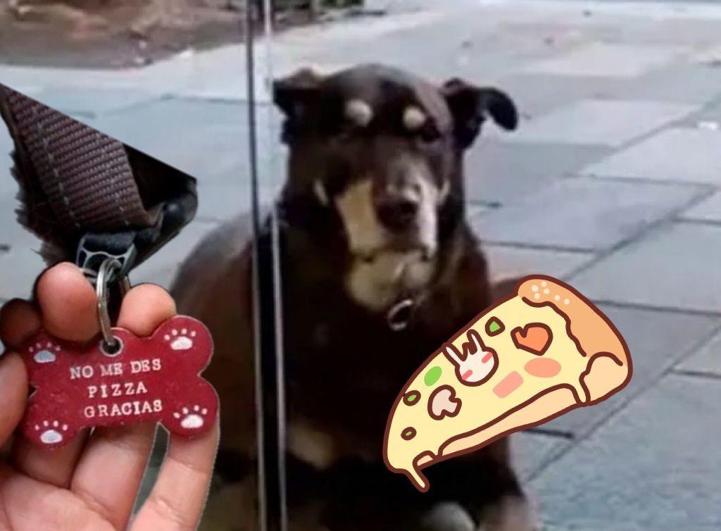 ¡Denme mi rebanada! Perrito espera diario su pizza, pero dueños no lo dejan