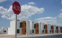 Estos son los árboles de Yucatán que puedes sembrar sin romper la banqueta