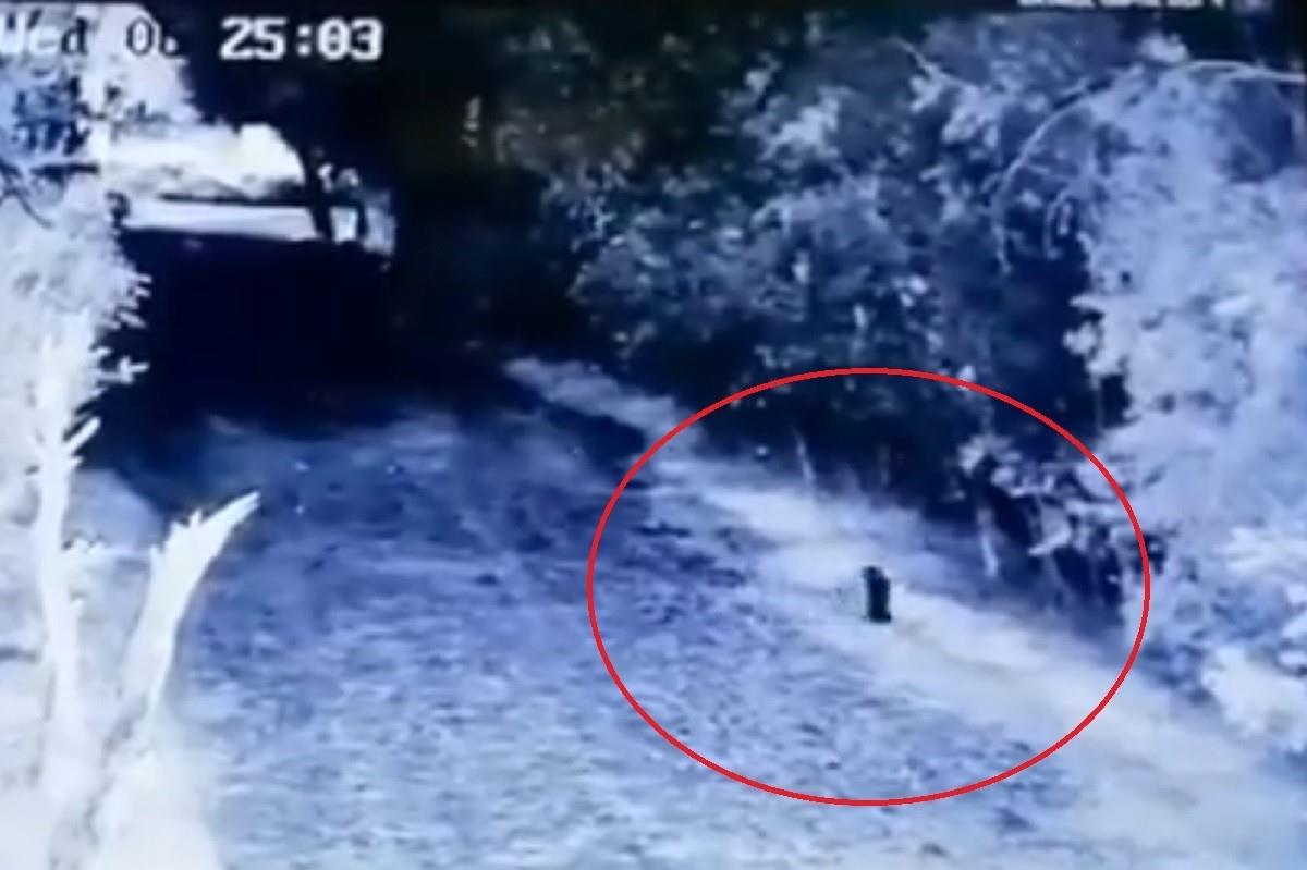 Un presunto duende fue captado por una cámara de seguridad en una finca de Monterrey, Nuevo León. Foto: X @UfologoJulio