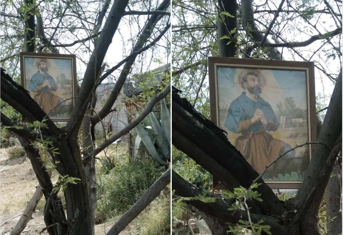 Foto de San Isidro Labrador en árbol como ofrenda para que llueva. Captura de pantalla.