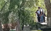 Macabro hallazgo en el zoológico La Reina de Tizimín: Encuentran cráneo humano