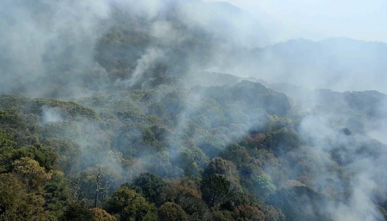 Se presenta incendio forestal en la comunidad de La Chona. Foto: redes sociales